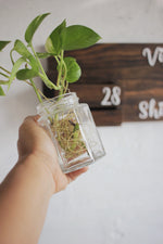 Planter Box Sign